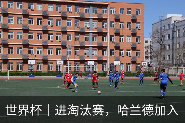 世界杯｜进淘汰赛，哈兰德加入“维京划船”