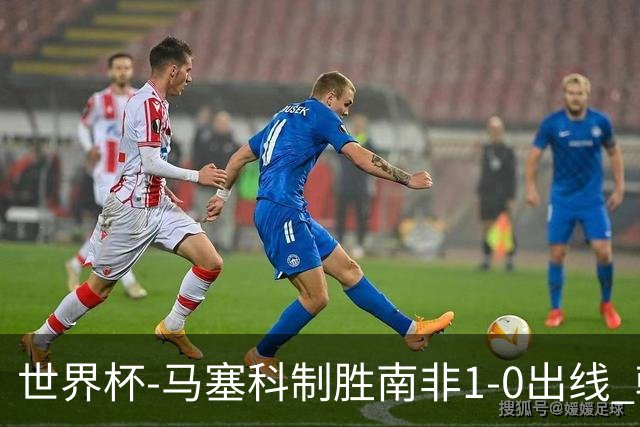 世界杯-马塞科制胜南非1-0出线 韩国积3分获小组第三待定