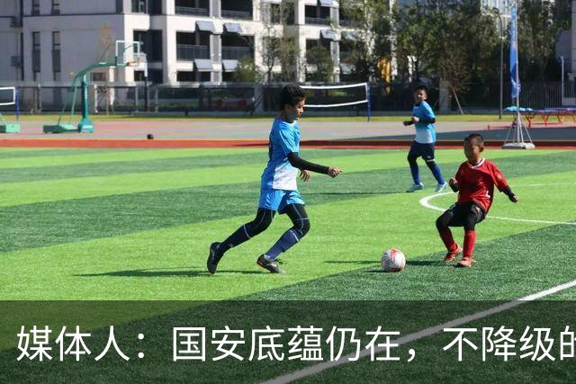媒体人：国安底蕴仍在，不降级的情况下应首选打亚冠