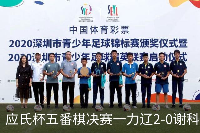 应氏杯五番棋决赛一力辽2-0谢科 率先拿到赛点