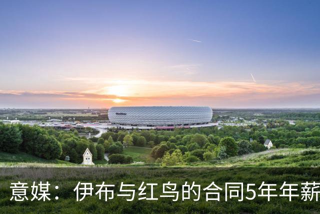意媒：伊布与红鸟的合同5年年薪100万欧，职责除了竞技还涉及商业