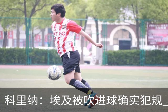 科里纳：埃及被吹进球确实犯规 萨拉赫倒地正常接触