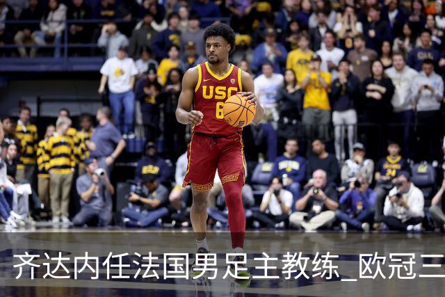 齐达内任法国男足主教练 欧冠三连冠铸就传奇